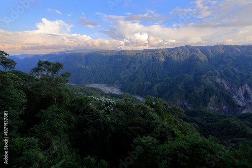 Rein forest, Parque Nacional Cayambe-Coca,  Ecuador