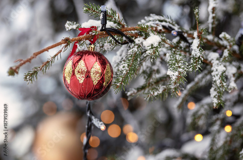 Red ball decoration on the Christmas tree.