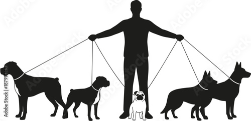 Silhouette of dog walker controlling multiple dogs on leashes, concept of pet care, animal management, responsibility, training, obedience, and urban lifestyle illustration