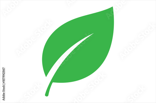 Single green leaf Vector