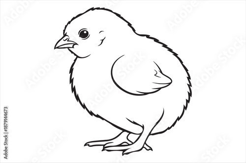 Young chick standing alone Vector