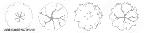 CAD Trees Top View, Editable Canopy Blocks for Landscape and Site Planning
