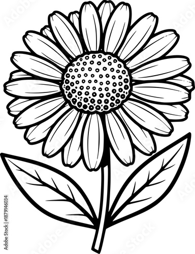 Chamomile flower botanical floral plant with daisy petals for herbal tea and healing concept – Black and White Vector Illustration