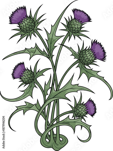 A detailed illustration of a flowering plant with purple blossoms on transparent background