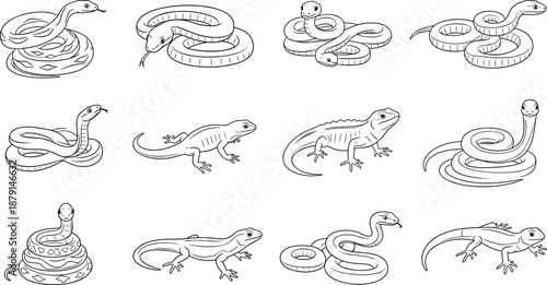 A collection of various snake illustrations with a transparent background on transparent background