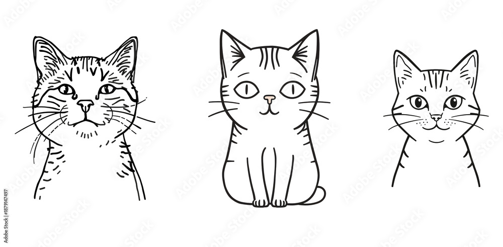 Fototapeta premium Line drawing cat illustration isolated on transparent background