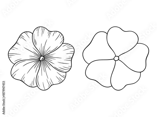 Primrose - february birth month flower, line art vector set in monochrome style. Hand drawn botanical illustration. Floral sketch expressing individuality, minimalism and tattoo design concepts.