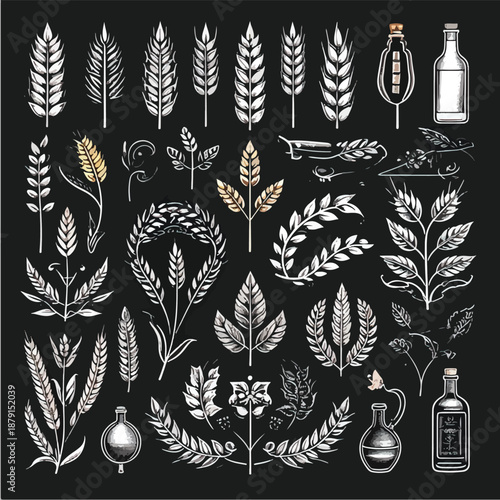 wine bottle and grape