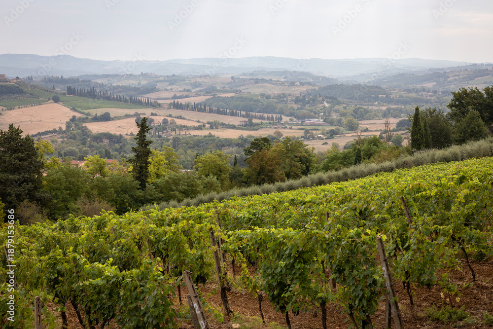 Fototapeta premium view from San Lucchese over a Tuscan landscape with green agricultural fields near Poggibonsi, province of Siena, Tuscany, Italy