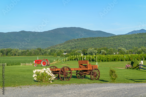 Old Farm Equipment in a Green Meadow in front of Mountains