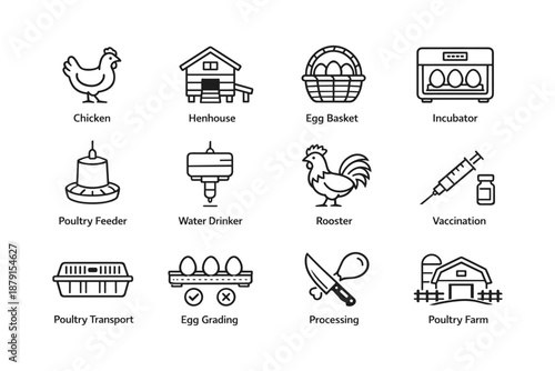 Poultry farming icons: chicken, rooster, henhouse, egg basket, incubator