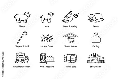 Sheep farming essentials: tools and items for wool production and flock management