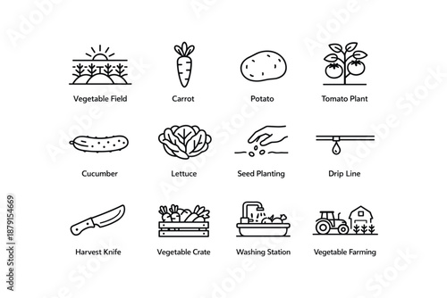 Line icons of vegetables and farming tools: carrot, potato, tomato plant, and more