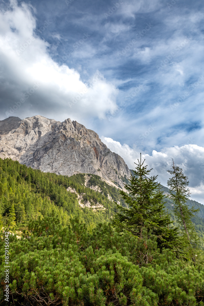 Obraz premium Vršič Pass offers stunning mountain landscapes and green forests in Slovenia. A perfect spot for nature lovers and travelers seeking adventure.