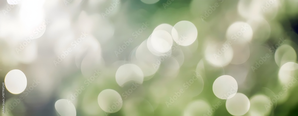 Obraz premium Soft green and white bokeh light background texture