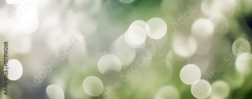 Soft green and white bokeh light background texture