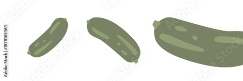 Art & Illustration Fresh green cucumber, vector illustration, healthy food, organic vegetables, for banners and web design