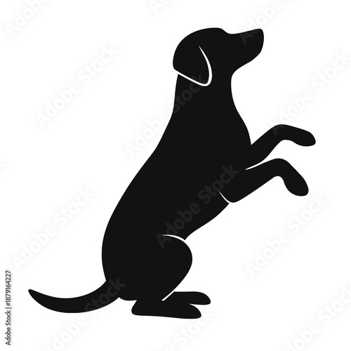 Black curved shape on white background, minimalist design element