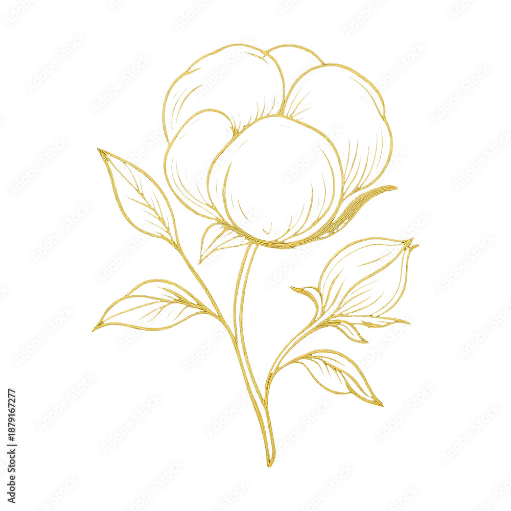 Fototapeta premium PNG Elegant golden floral illustration
