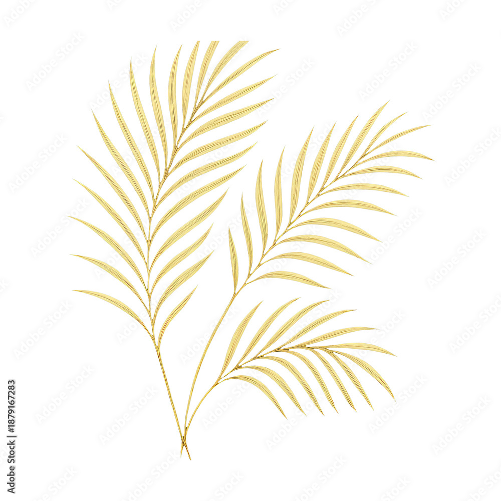Fototapeta premium PNG Elegant golden palm leaves design.