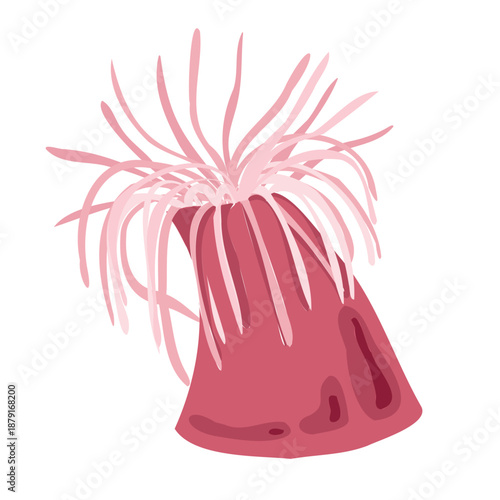 Cute kids style pink sea anemone with tentacles isolated underwater element vector illustration