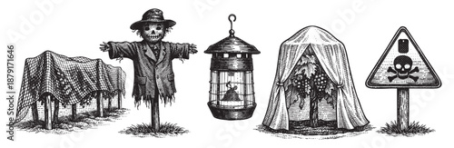 Black and white engraved illustration showing vineyard protection like netting, scarecrow, insect trap, tree protection and pesticide hazard sign, offering a vintage and slightly ominous feel.
