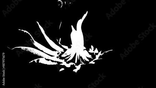 Silhouette of a white bird in flight against a dark background, dramatic and graceful.