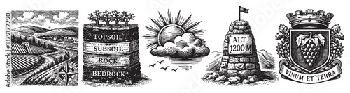 Black and white drawing showcases vineyard terroir elements: soil layers, altitude marker, sunny landscape, and grape crest, ideal for branding or educational materials.