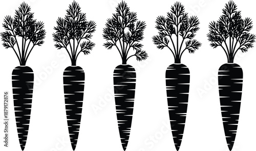 Flat vector illustration of fresh carrots, vegetable silhouette, healthy food, garden produce, organic harvest, isolated white background, farm vegetables, root crops