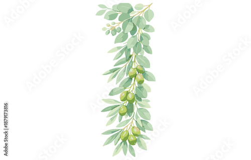 Watercolor olive branch with green leaves and fruits on white background