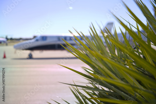 Принти на полотні Blurred private jet behind tropical plant at Miami airport