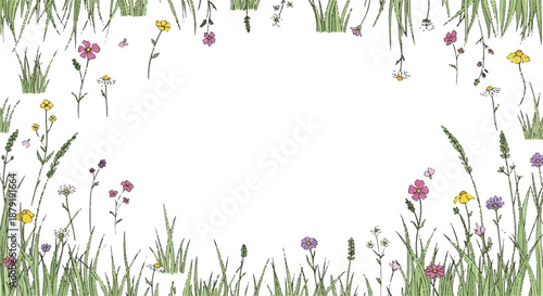 Minimalist Spring Wildflower and Grass Border Frame on Clean White Background