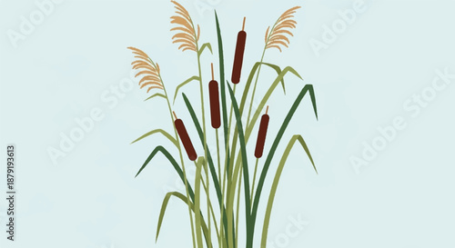 Botanical Illustration of Reeds and Cattails in Wetlands for Nature Background