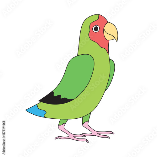 Rosy-faced lovebird parrot cartoon illustration isolated vector