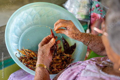 Fototapeta Elderly woman deveining guajillo chilies and removing seeds to prepare traditional food
