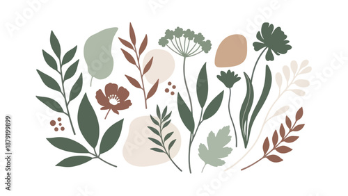 Abstract Botanical Elements and Organic Shapes Collection.