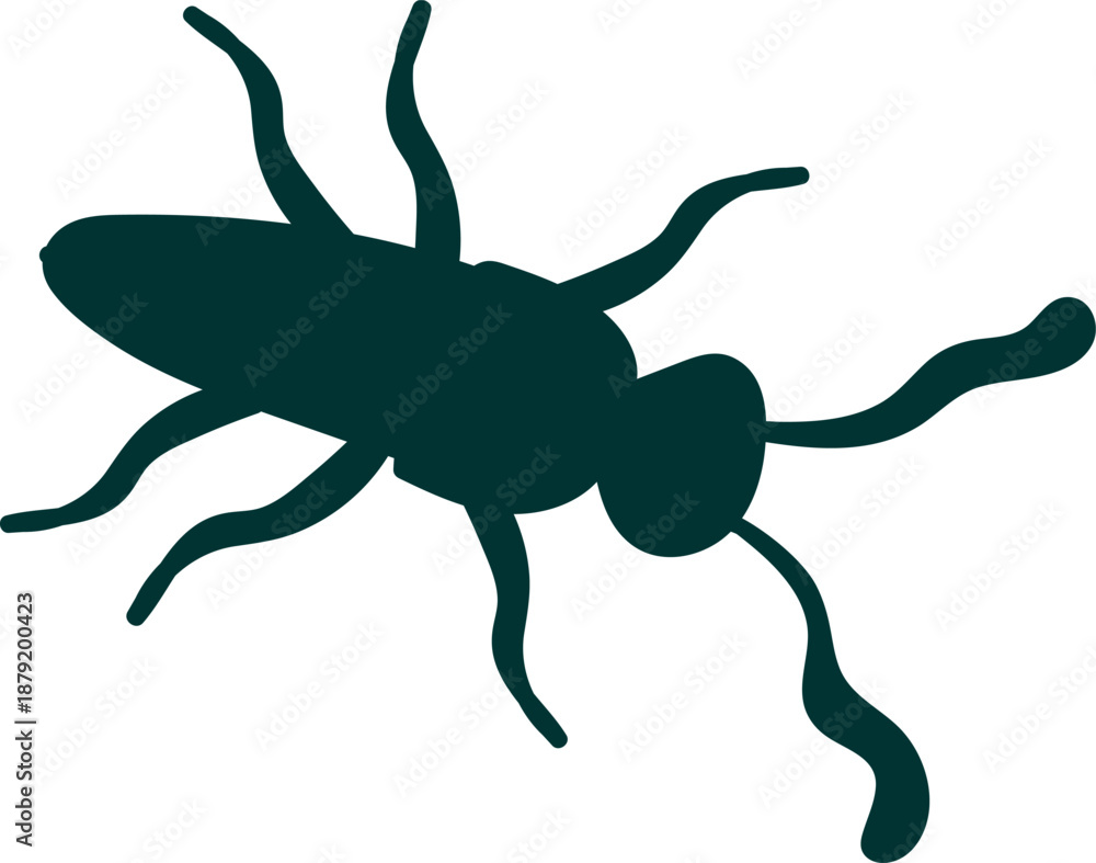 Fototapeta premium Ant Silhouette Top View