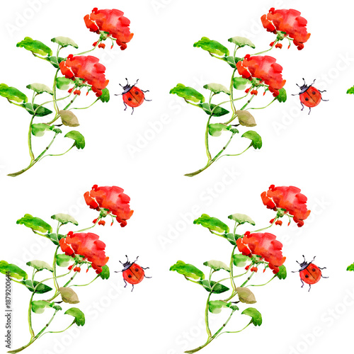 Flowers seamless pattern.Image on white and colored background.