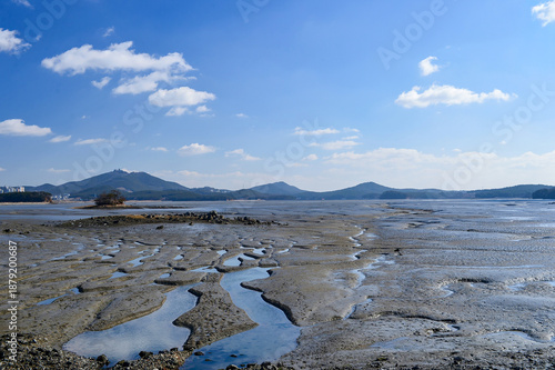 Fotografija Beautiful natural tidal channels carved on a healthy mudflat during low tide in