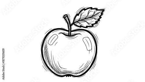 Hand drawn sketch of a fresh apple with a leaf.