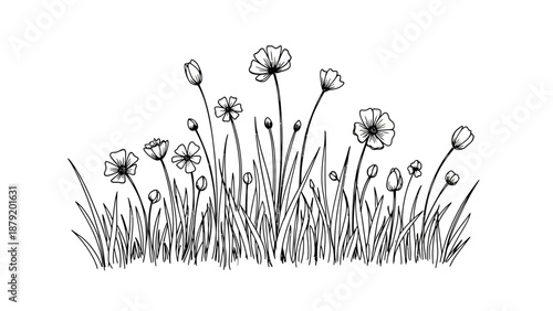 Hand drawn sketch of a field of wildflowers and grass in black and white.