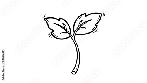 Hand drawn sketch of a young plant sprout with two leaves.