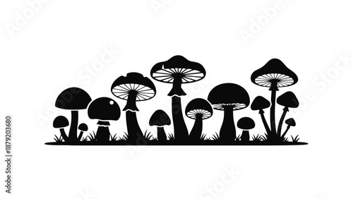 Vector illustration of various natural mushrooms silhouette design, a forest fungus concept graphic element
