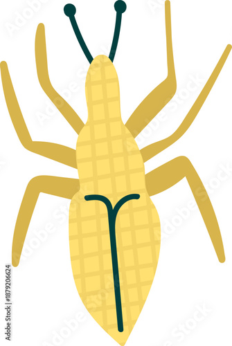 Termite Top View Cartoon