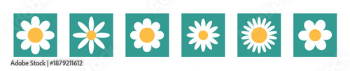 Flower chamomile vector icon. Cartoon camomile white retro spring floral icon design set
