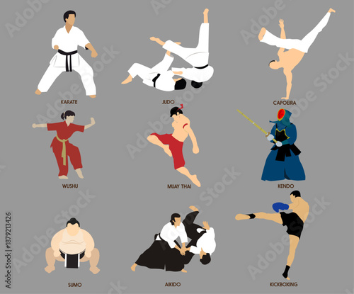 Martial Arts Vector Illustration Set