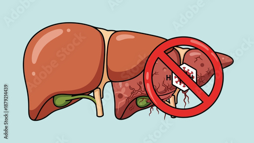 Detailed medical illustration showing a healthy human liver alongside a diseased liver with a red prohibition sign, symbolizing liver disease prevention.