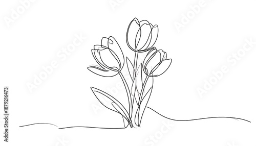 Continuous line art of tulips