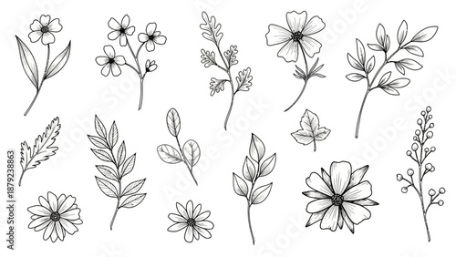 Hand Drawn Wildflowers and Leaves Sketch Collection