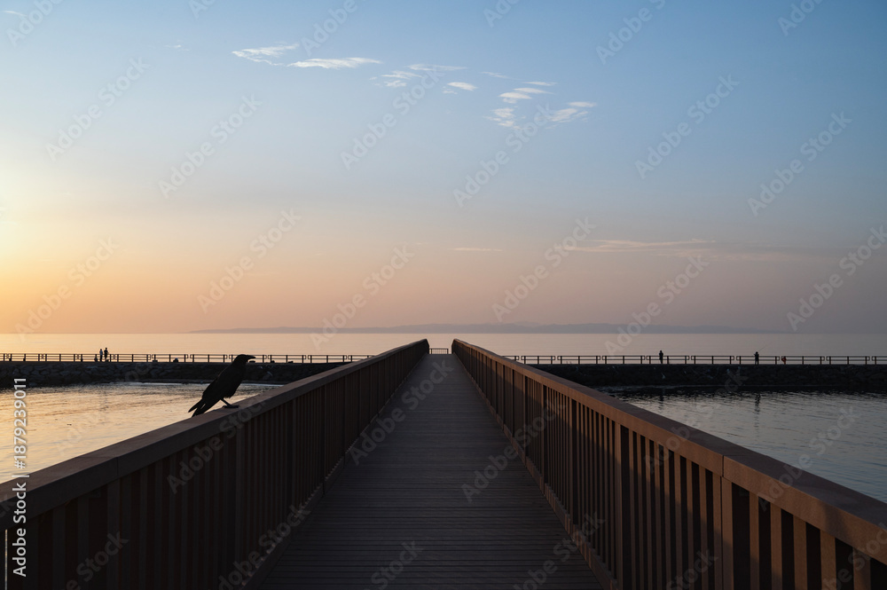 Fototapeta premium 新潟 釣離岸堤の夕景(出雲崎町)